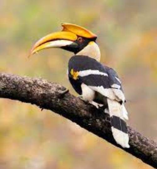 winter-sports-01 (1)