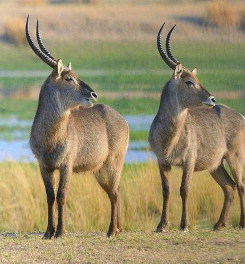 winter-sports-01 (3)