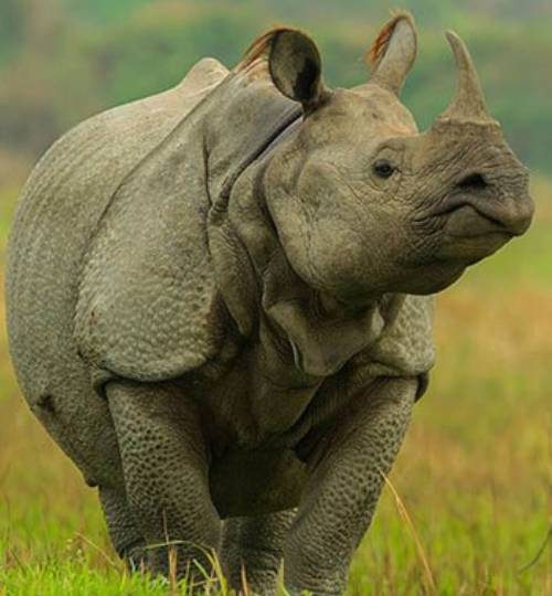 winter-sports-01 (6)