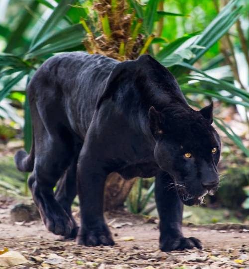 winter-sports-01 (7)