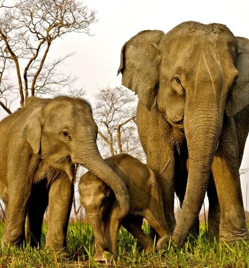 winter-sports-01 (9)